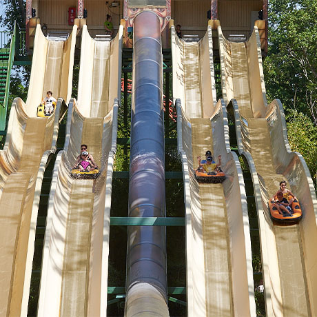 Le Rapido au parc de loisirs Le PAL en Auvergne-Rhône-Alpes