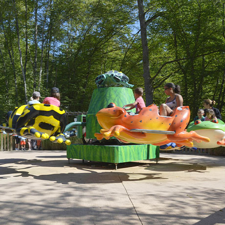 La Ronde des Grenouilles au parc de loisirs Le PAL en Auvergne-Rhône-Alpes